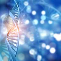 Laboratuvar Ultra Saf Su Cihazları